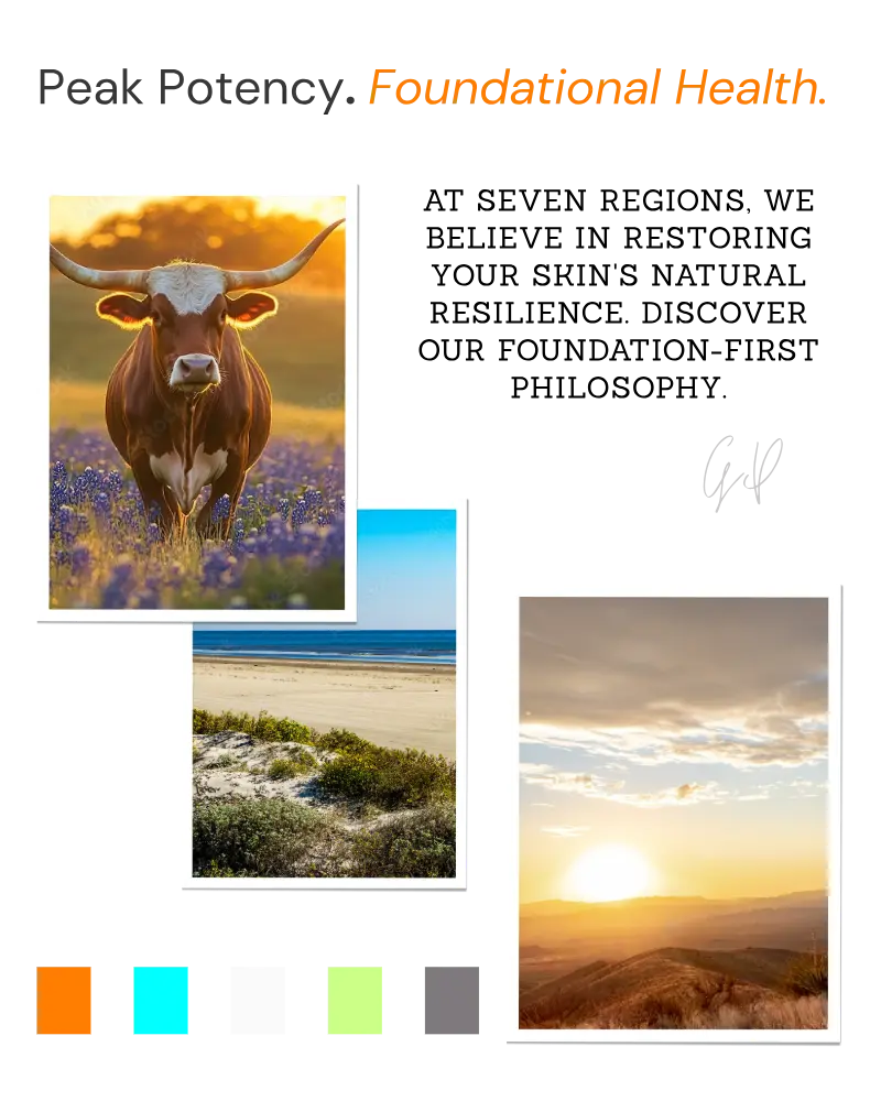 Seven Regions Banner with images of a cow, beach, and sunset.